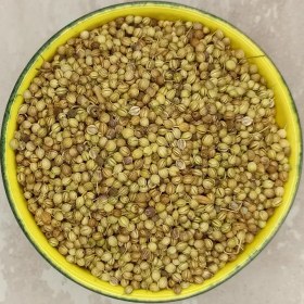 تصویر تخم گشنیز گل‌جیل 