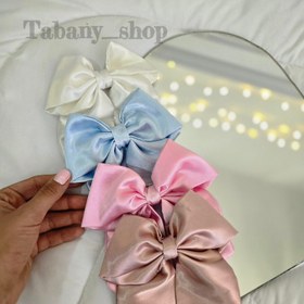 تصویر پاپیون گیره فرانسوی 