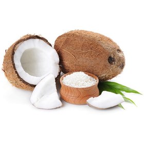 تصویر پودر نارگیل خشک - 150گرم ا Dry coconut powder Dry coconut powder