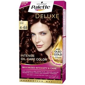 تصویر کیت رنگ موی پالت Palette Deluxe 4-68 