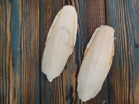 تصویر کف دریا 