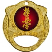 تصویر مدال قهرمانی کیوکوشین 