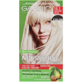 تصویر کیت رنگ مو گارنیک شماره 10.1 حجم 80 میلی لیتر رنگ بلوند خاکستری Garnic Hair Color Kit No. 10.1 volume 80 ml gray blonde color