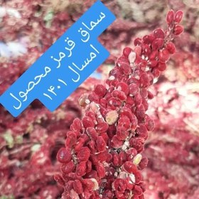 تصویر سماق قرمز خوشه ای نیم کیلویی 