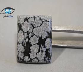 تصویر ابسیدین دانه برفی طبیعی 4.7 گرم 