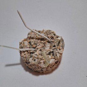 تصویر سنگ مینرال 