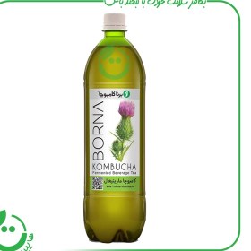 تصویر کامبوچا کبدچرب ماریتیغال «برنا» 