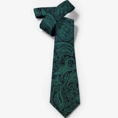 تصویر کراوات طرح دار مشکی سبز بته جقه پوشت دار برند Fernardo 