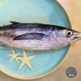 تصویر ماهی هوور ( تُن ) پک 3 کیلویی 