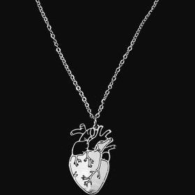 تصویر گردنبند مدل قلب آناتومی - استیل ا Anatomic heart necklace Anatomic heart necklace