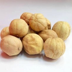 تصویر لیمو عمانی ایرانی 100 ، 250 ، 500 و 1000 گرم 
