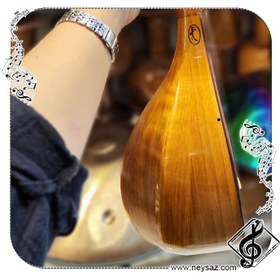 تصویر سه تار مجیدی 