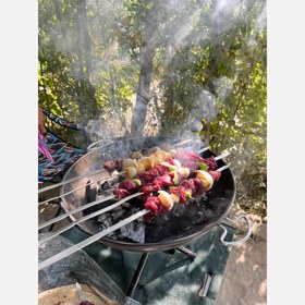 تصویر اتشدان و باربیکیو 