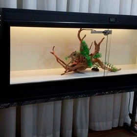 تصویر تراریوم RGB_MP1244 