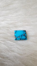 تصویر نگین فیروزه شجر 