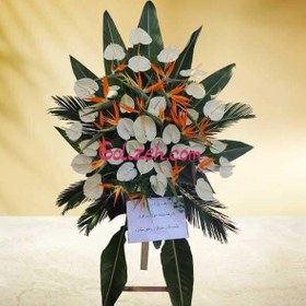 تصویر تاج گل پرنده بهشتی 