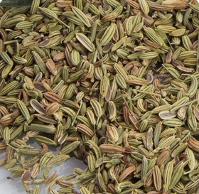 تصویر دانه رازیانه قاعده آور