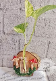 تصویر گلدان دیواری مدل قارچ جنگلی 