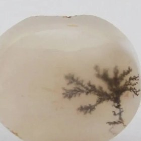 تصویر سنگ شجر کد 2316 