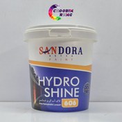تصویر هیدرو شاین شفاف (لاک آب گریز) ساندورا 1 کیلویی 