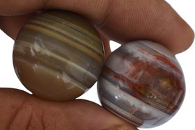 تصویر مهره مار سلیمانی 