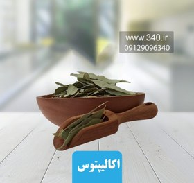 تصویر اکالیپتوس 250 گرم خواص بی نظیر اکالیپتوس 