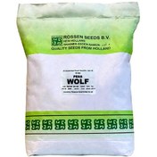 تصویر بذر نخود فرنگی S.F.C 