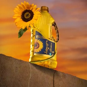 تصویر روغن سرخ کردنی 1620 گرمی 