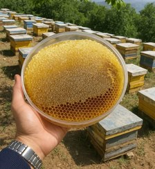 تصویر عسل باموم خودبافت کوهستان 800 گرمی 