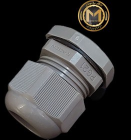 تصویر گلند پی جی 21 