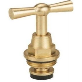 تصویر مغزی شیر 