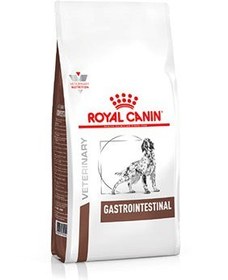 تصویر غذای خشک سگ رویال کنین گاسترو اینتستینال 2 کیلویی ا Royal Canin Gastro Intestinal 2kg Royal Canin Gastro Intestinal 2kg