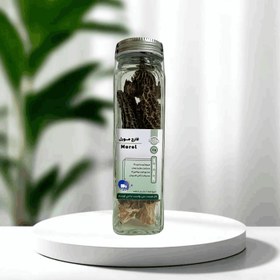 تصویر قارچ مورل 