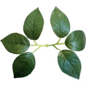 تصویر برگ دوسو شش پر مناسب برای گلسازی 