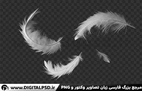 تصویر دانلود عکس با کیفیت پر پرنده png 