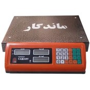 تصویر ترازو 30 کیلویی ماندگار 300-kg-digital-scale-30-40