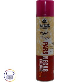 تصویر اسپری رنگ آلبالوئی پارس نگار ۴۰۰ میلی لیتر کد ۱۸۸ 