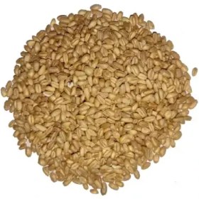 تصویر گندم پوست کنده کد74 