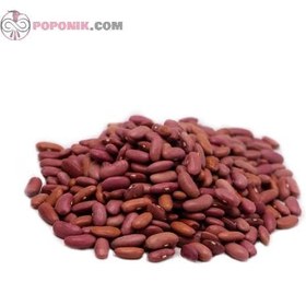 تصویر لوبیا قرمز کپسولی 