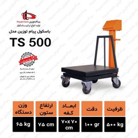 تصویر باسکول پایه ثابت پیام توزین مدل TS 500 