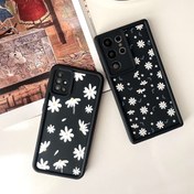 تصویر کاور سولید بابونه 