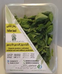 تصویر ریحان ایتالیایی 