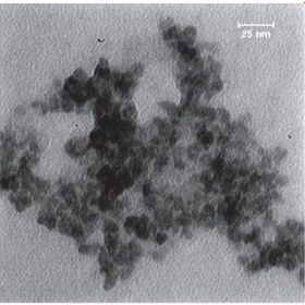 تصویر نانو ذرات سولفید بیسموت کونژوگه با تریپتورلین |Bi2S3@BSA- Triptorelin Bi2S3@BSA- Triptorelin nanoparticle