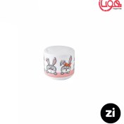 تصویر نمک پاش چینی زرین زی zi فرم اس طرح هپی ربیت 