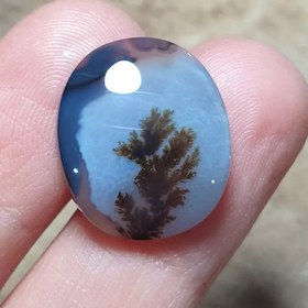 تصویر عقیق شجر قائن 