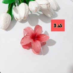 تصویر کلیپس گل پلومریا سایز بزرگ Plumeria flower clips