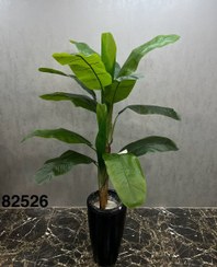 تصویر درختچه مصنوعی موز دو تنه کوچک 