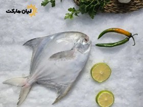 تصویر ماهی حلوا سفید ۵ کیلوگرم 