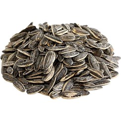 تصویر تخمه آفتابگردان شور ۱ کیلوگرم ایرانی 