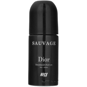 تصویر دئودورانت رولی مردانه Dior حجم 60میل نایس پاپت Nice Puppet Dior Deodorant Roll On For Men 60ml